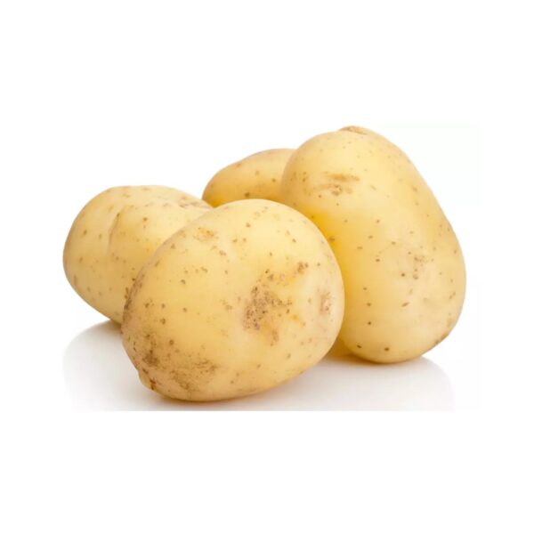 Pomme de terre