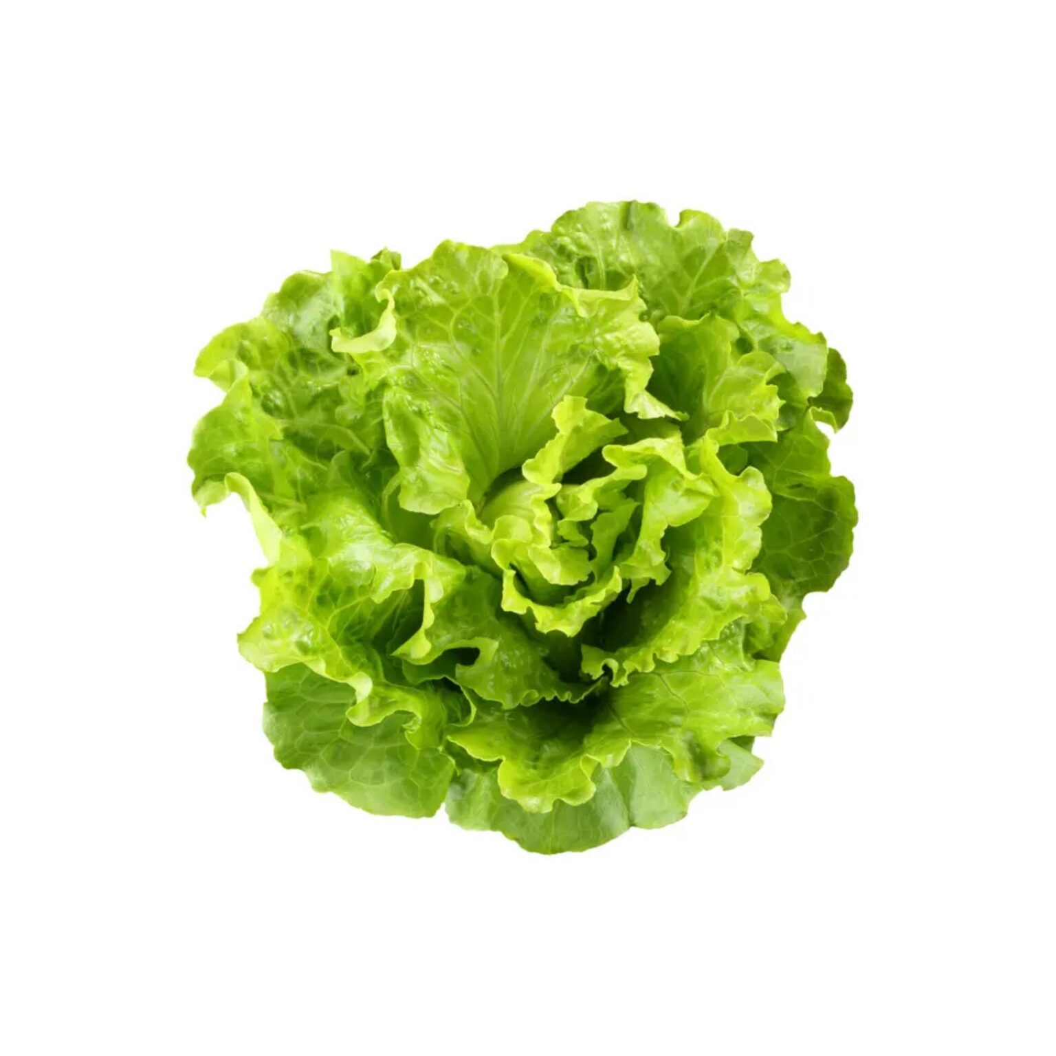 Salade Ordinaire